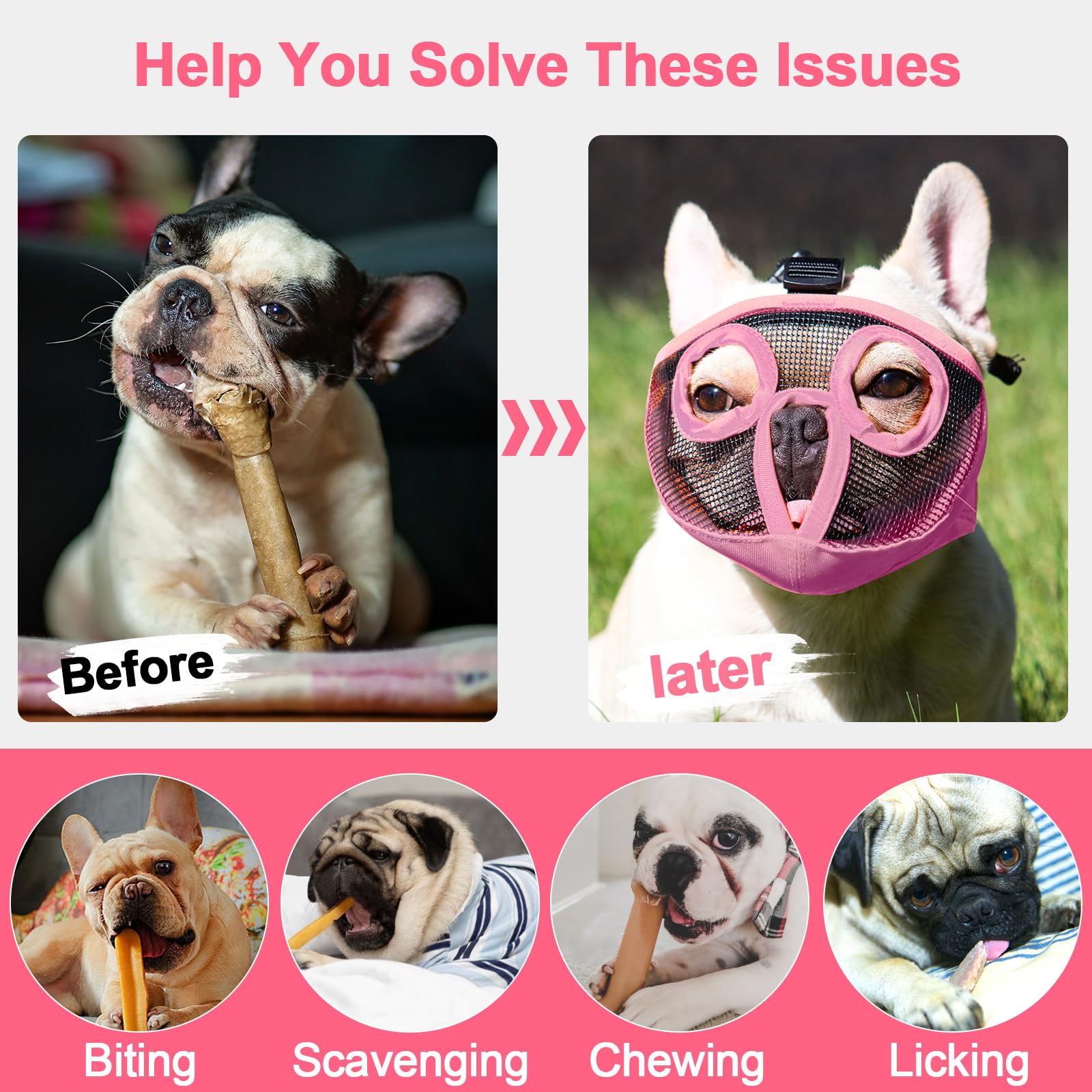 View 3