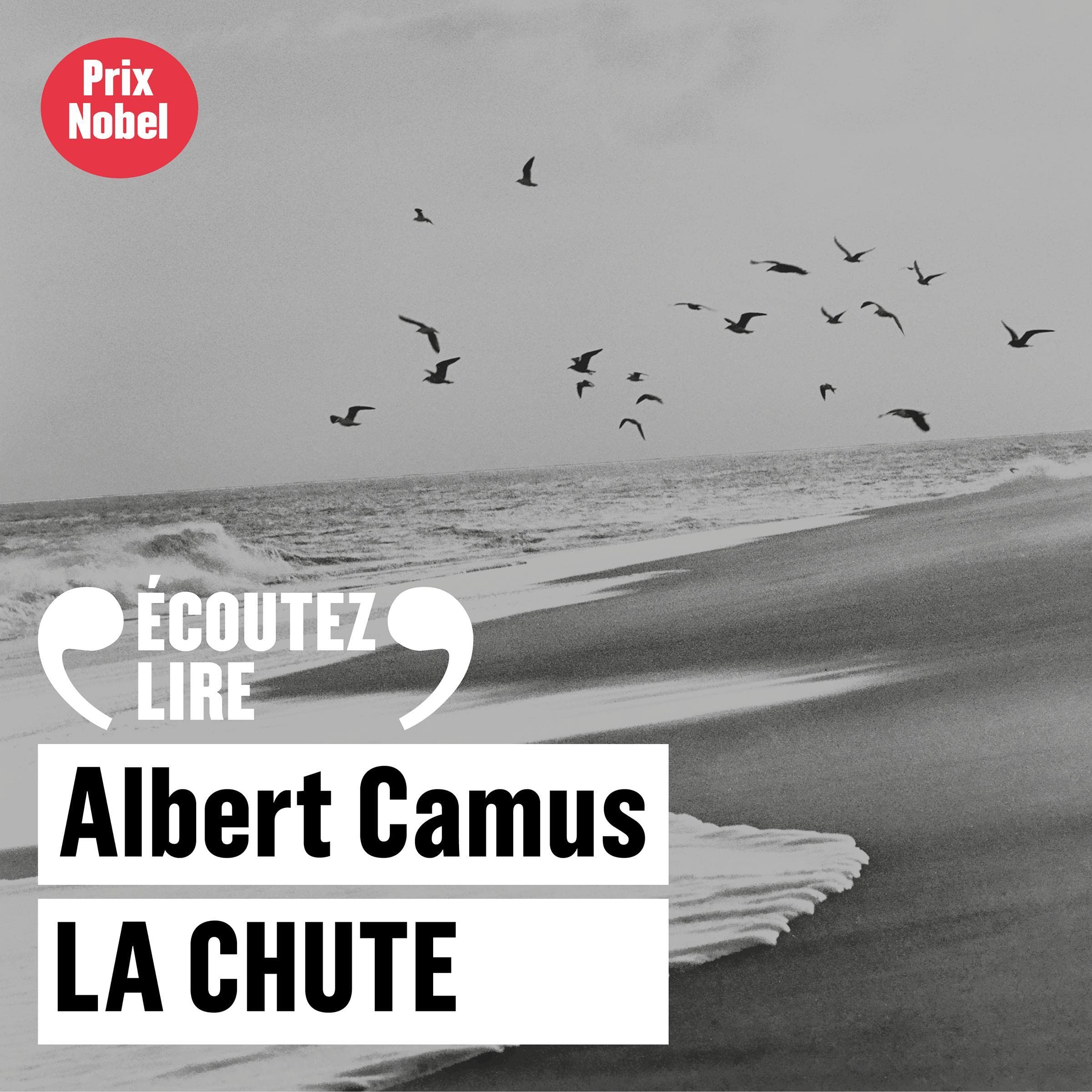 Cover art for La chute