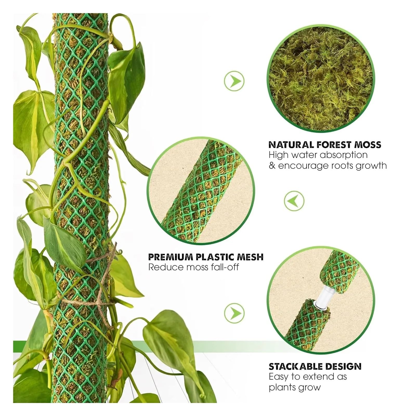 Tuteur Plante Poteau de Mousse empilable Vert 10 pièces for Plantes grimpantes, piquets de Support Extensibles for Plantes d'intérieur