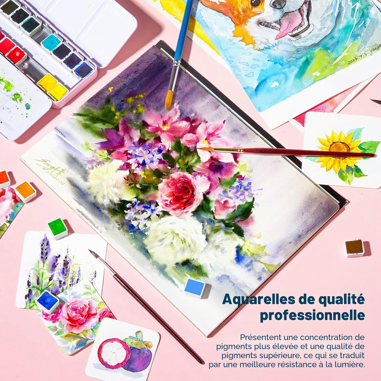 Ensemble de peintures aquarelle Paul Rubens, 24 couleurs florales vives de qualité artiste avec boîte métallique portable pour artistes, débutants, passionnés et étudiants