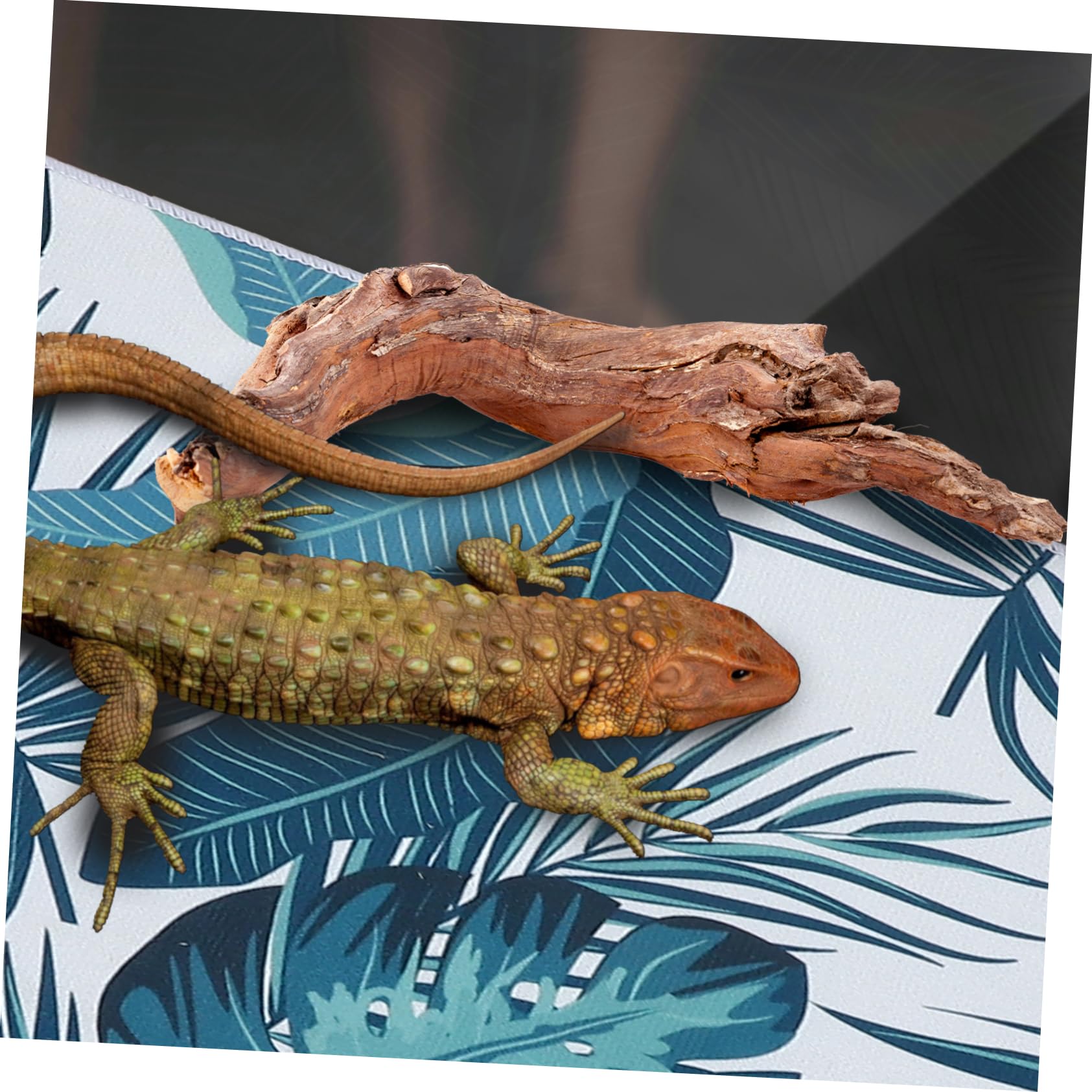 HEMOTON Tappeto Reptile Traspirante con Ritenzione umidità per Lucertole e Tartarughe