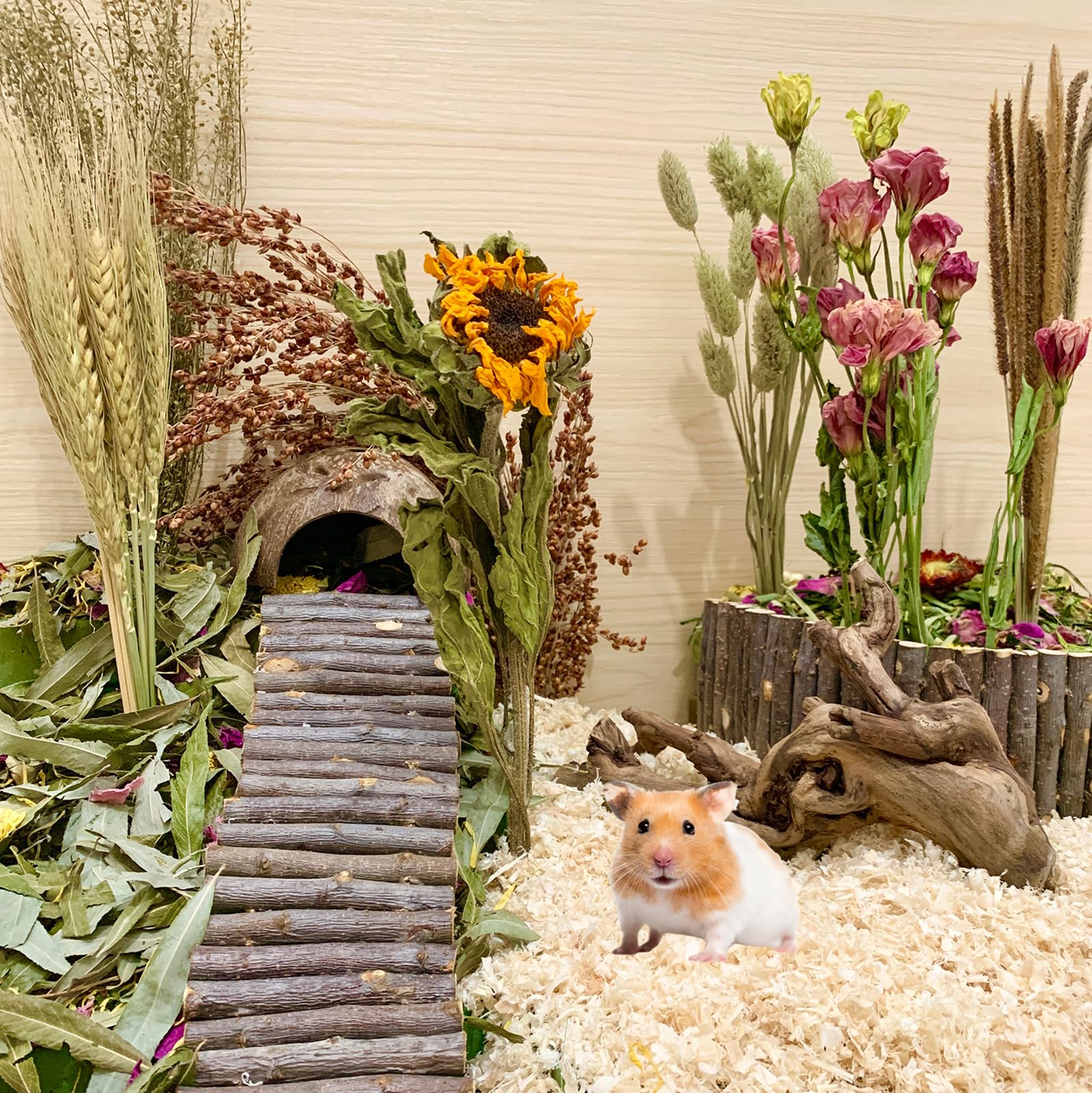 Je eigen eetbare bloemen kweken is een makkie in een bakkie