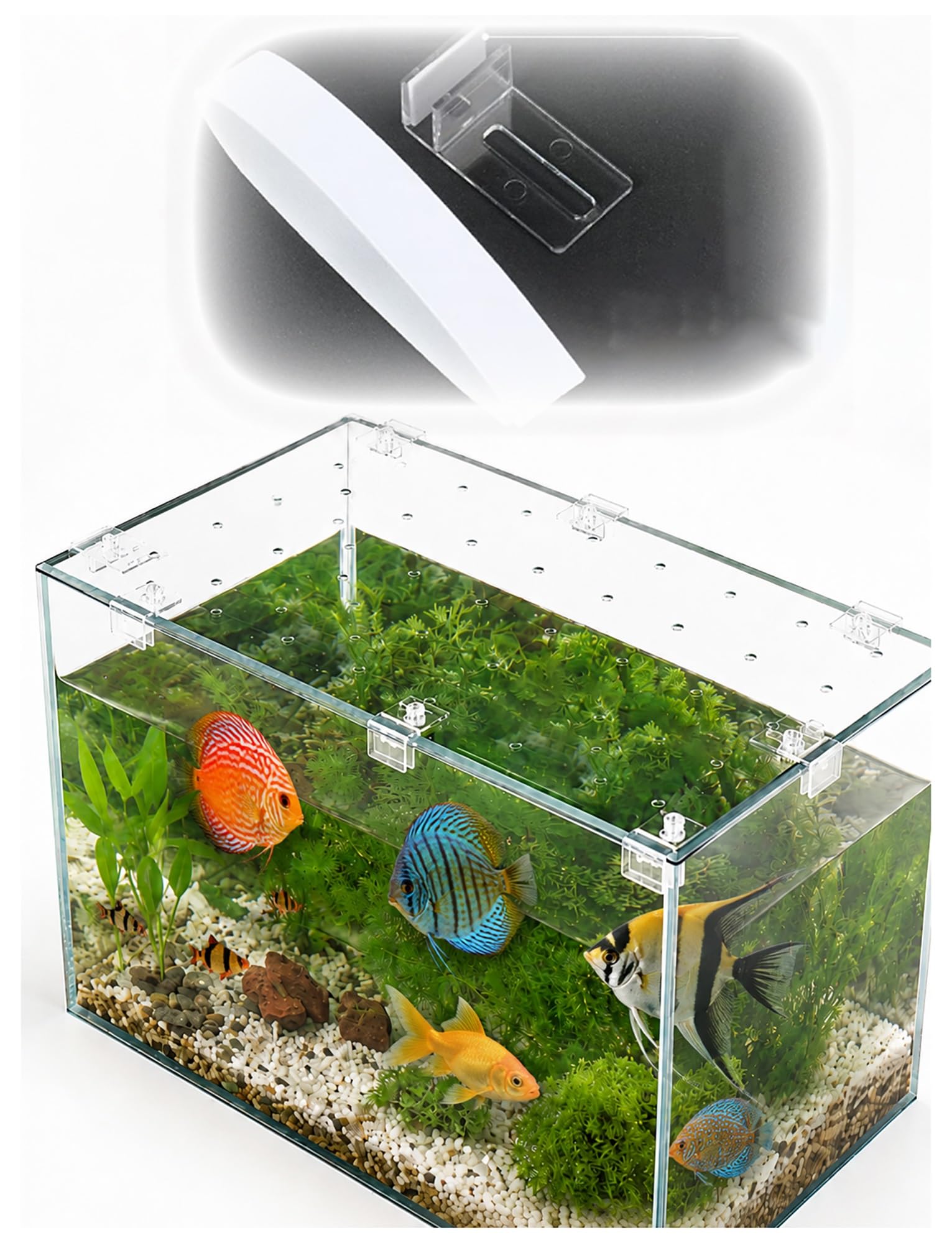 Cubierta for Acuario de PC