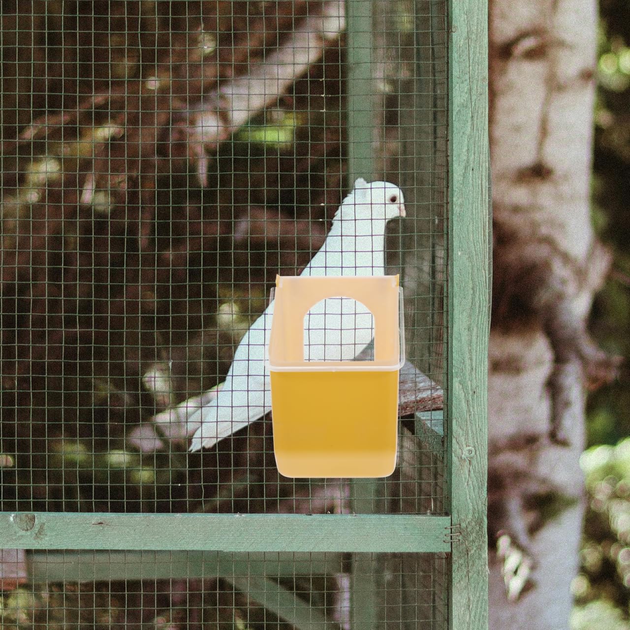 Besportble Alimentador Colgante De PláStico para Palomas 6 Piezas Comedero para PáJaros PequeñOs Jaula FáCil De Instalar Y Limpiar para Aves De Corral