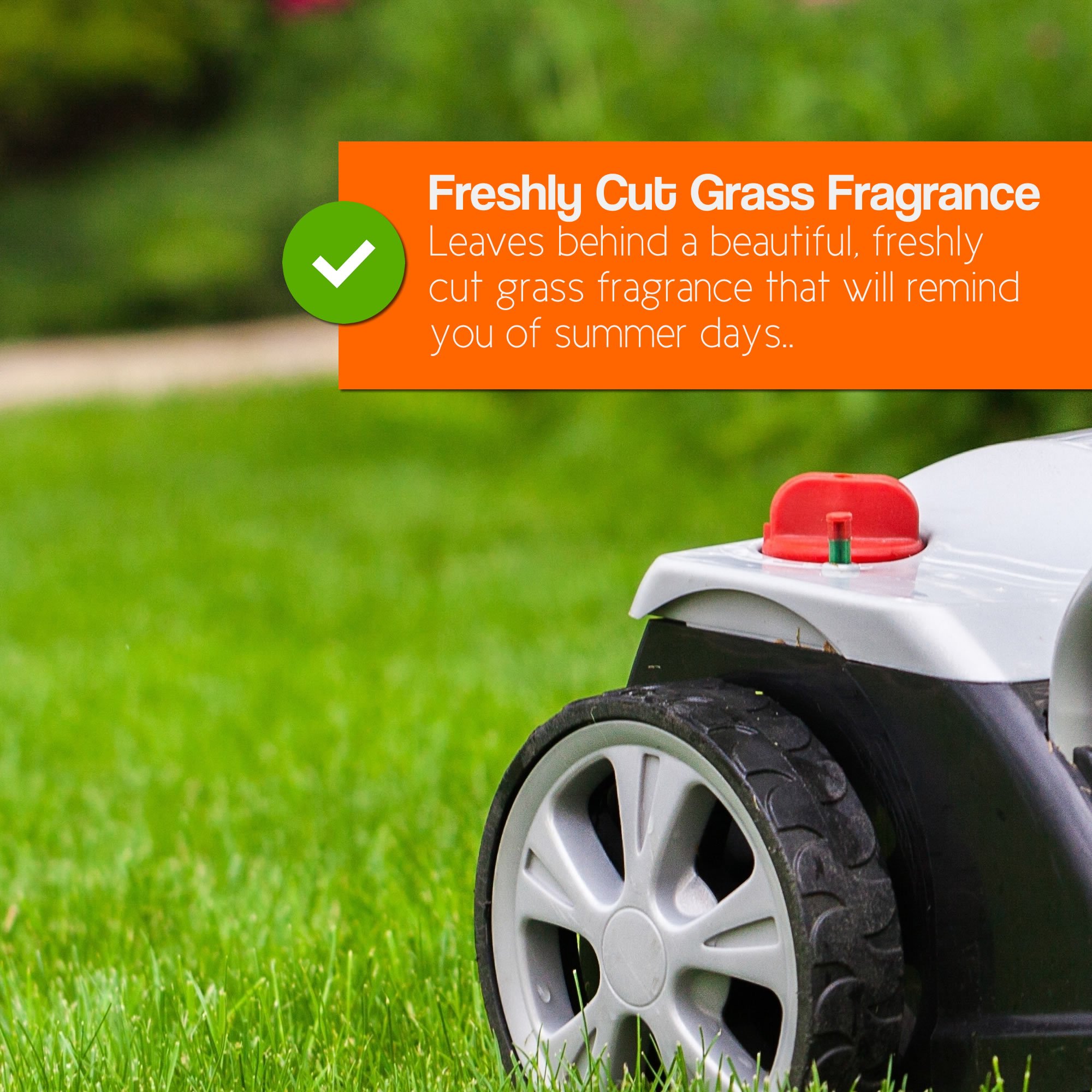 ProKleen Artificial Grass Cleaner and Disinfectant 5 Litre Super Concentrate Makes 15 Litres