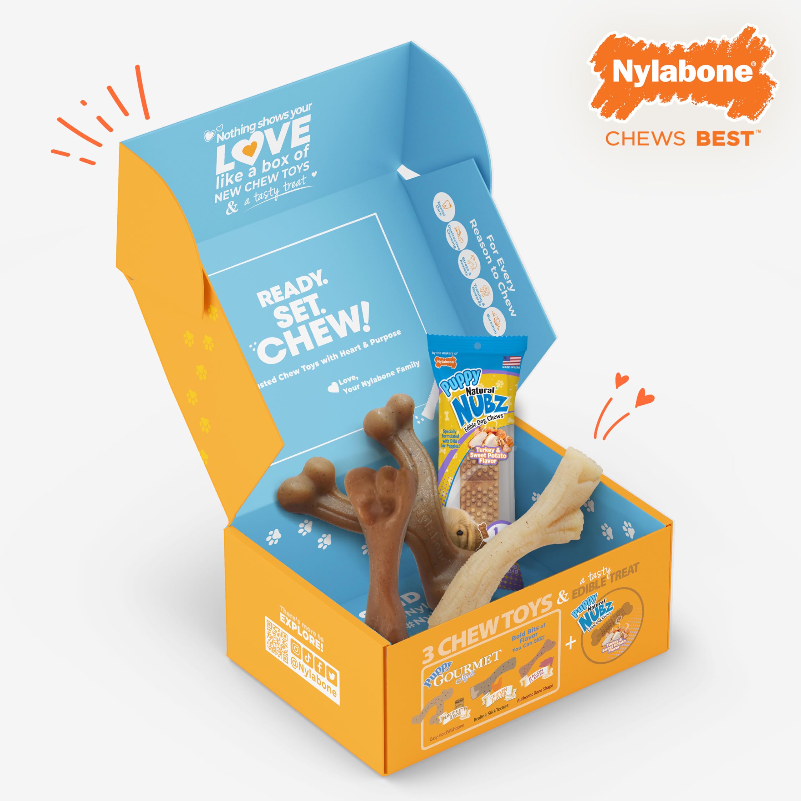 Nylabone Hundespielzeug-Geschenkbox, enthält 3 Starke Kauspielzeuge und 1 Hundeleckerli, Kauspielzeug für Welpen, klein/normal (4 Stück)