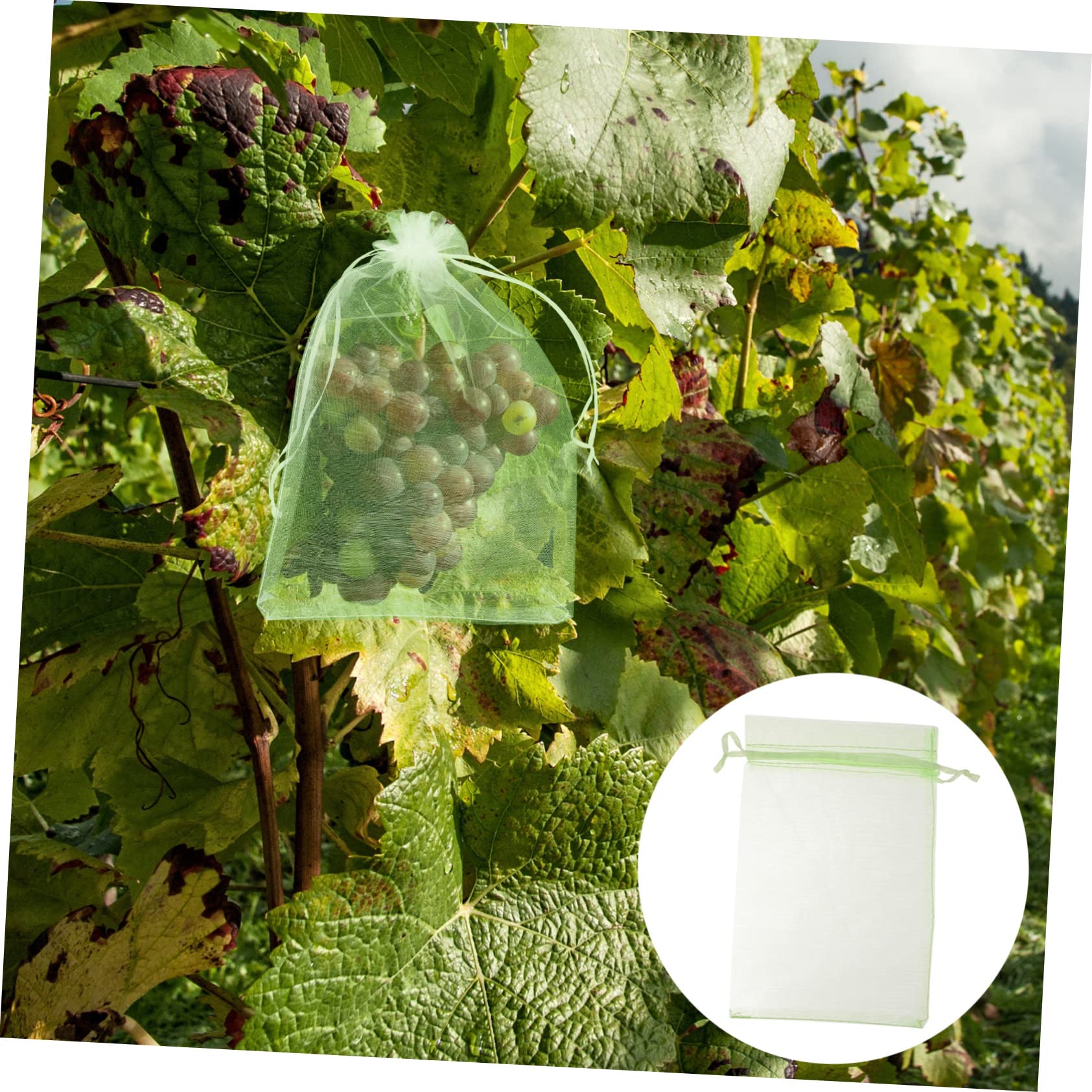 Healvian 100pcs Fruit Protection Mesh Bag Strawberry Plants Fruit Protection Netting Bags Fruit Covers Bags Reusable Mesh Bag Garden Breeding Bag Drawstring Mesh Bag Grape Nursery Bag Green - Image 2