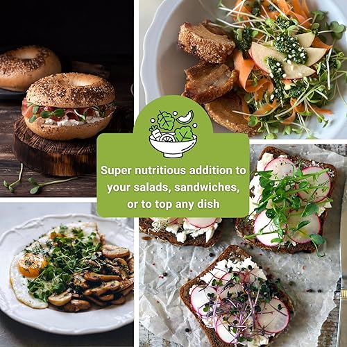 Miniatura 5 de Sow Right Seeds - Paquete de muestra de semillas Microgreens - 10 paquetes de superalimentos saludables para brotar y cultivar en interiores en el