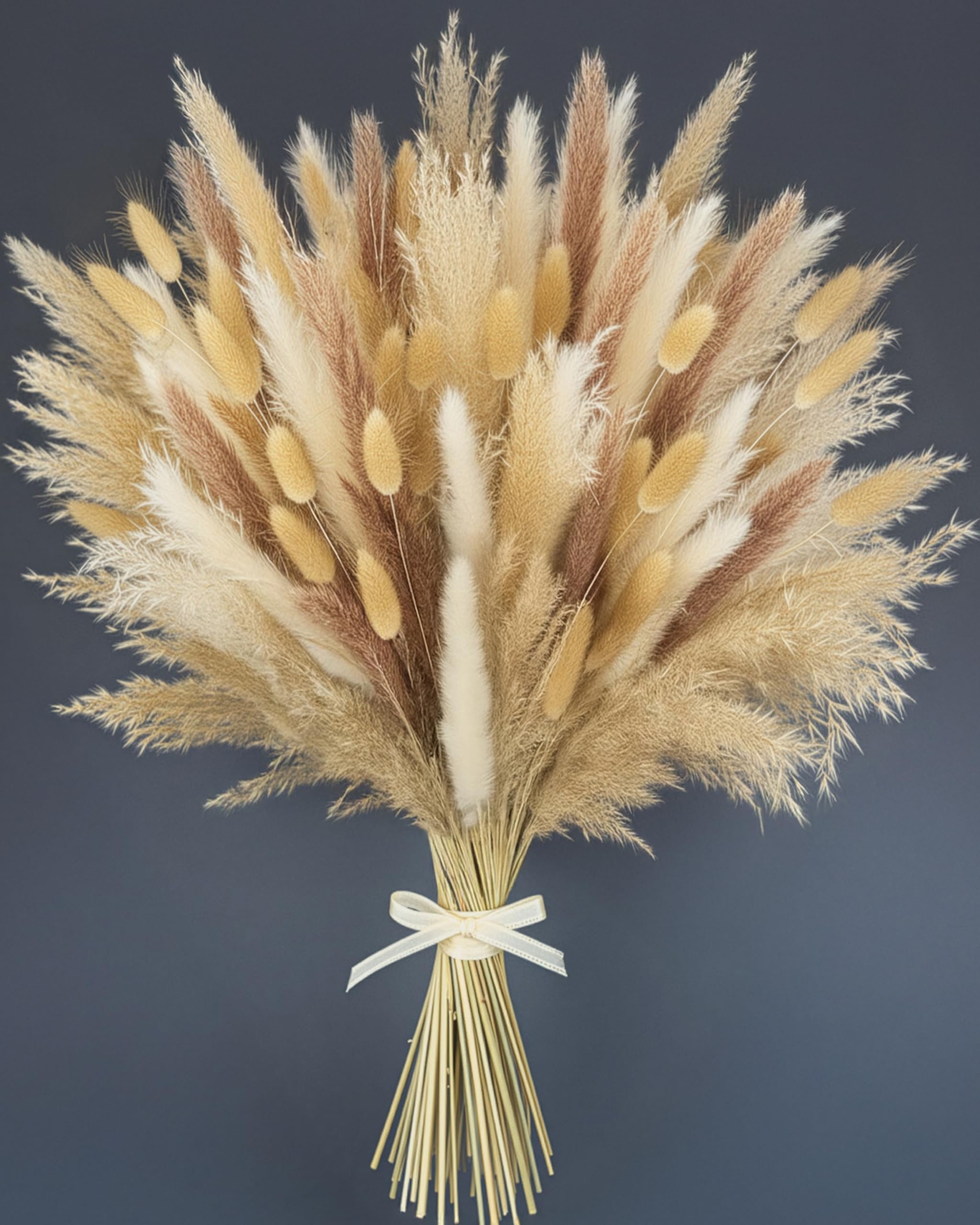 Flores secas de la Pampa, Ramo Natural, decoración XXL, Flor Seca para Jarrón y Decoraciones, Hierba de la Pampa Seca