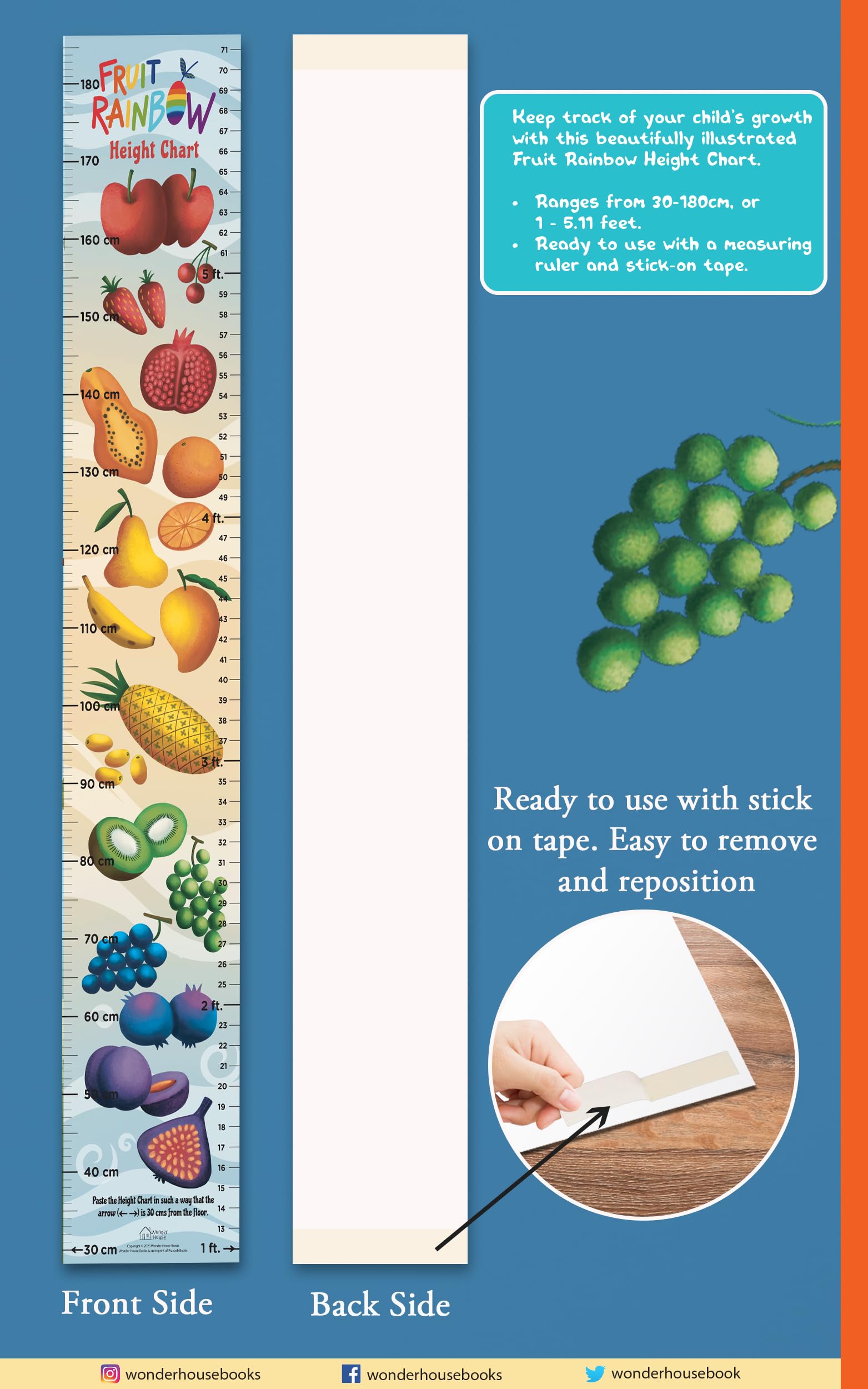 Fruit Rainbow Height Chart ( Kids' Height Chart | Height Measuring Scale Sticker | Height Chart Wall Sticker for Children | Nursery Decoration) 2