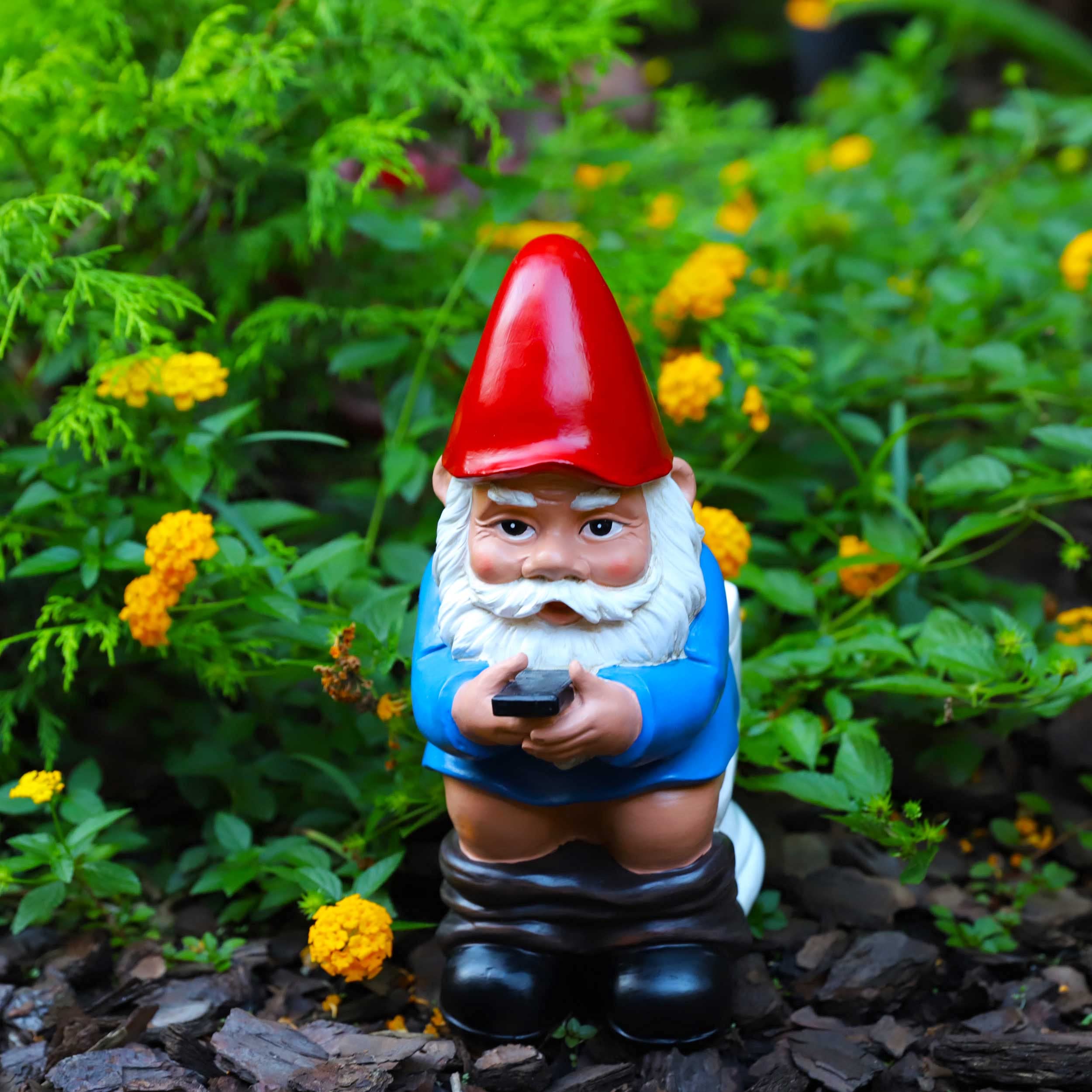 ノームの錫版 アートフレーム Gnomes Unieboek.B.V ノームの錫版 アートフレーム Gnomes Unieboek.B.V - メルカリ