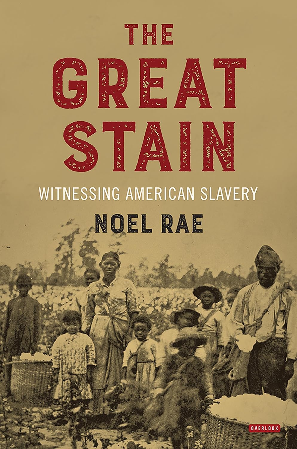 The Great Stain: Witnessing American Slavery      1st Edition, Kindle Edition