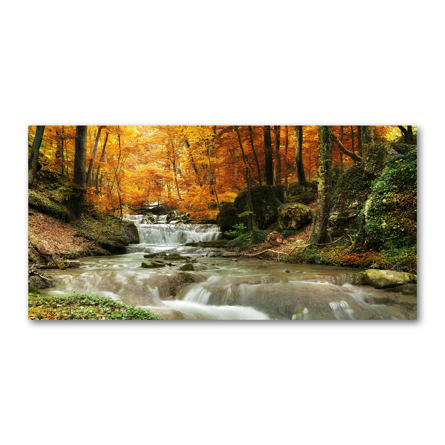 Splashback cuisine paysage forêt jaune Tulup pour dynamiser l'espace - 8