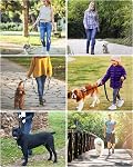 Dog Leash, Heavy Duty Dog Leash, Leashes for Large Breed Dogs 1FT FT FT FT, Double Handle Dog Leash, Reflective Training Lead, Perfect for Medium to Large Dogs (Pink, 72 Inch FT)