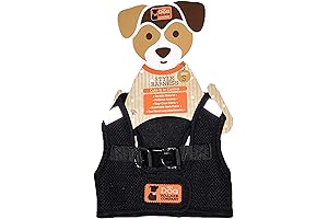 Breathable Comfort for Dogs on the Move: The Dog Walker Black Mesh Small Style Harness