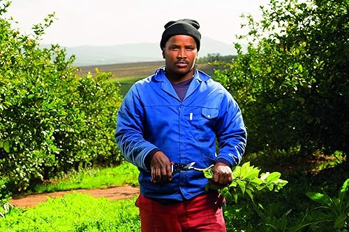 Vista 17 de Felco F-2 tijeras de podar manuales, clásicas.