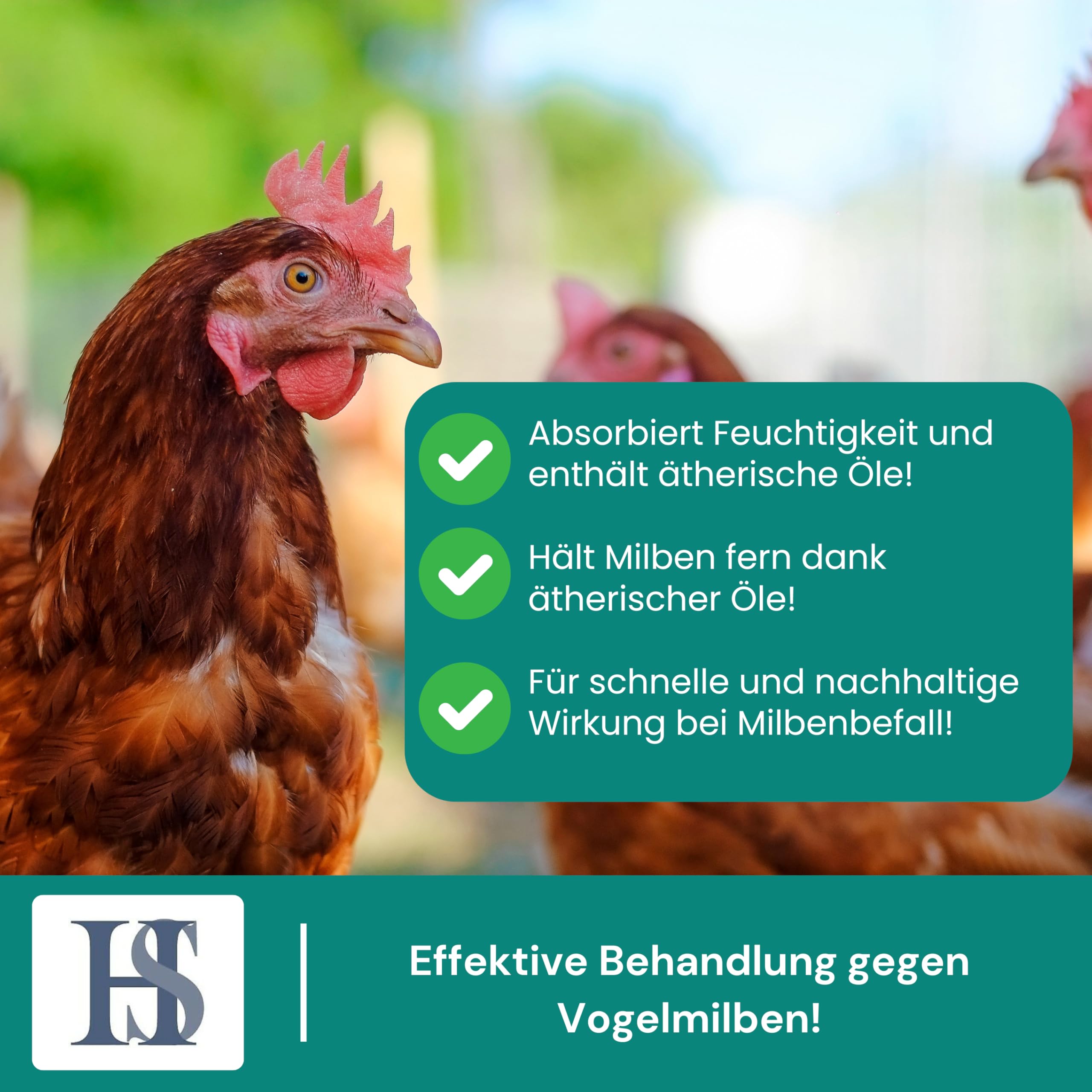 HS Mikrogur Complete - Stallklima-Optimierer mit Eukalyptusöl gegen Milben - Biozidfrei - Einfache Anwendung für Stallungen & Einsatz in Allen Bereichen der Bio. Landwirtschaft