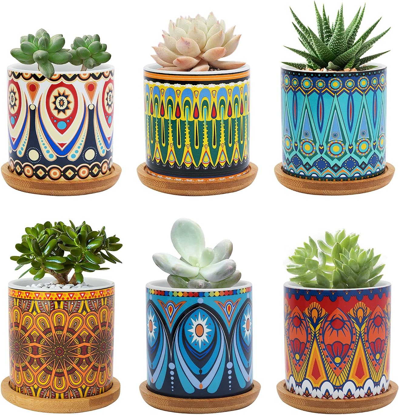 Warmplus Succulent Pots, 3 inch Mandala Planter Pot with Drainage and Bamboo Tray, Small Pots for All House Plants, Succulents, Flowers, Cactus, Pack of 6 - Plants Not Included