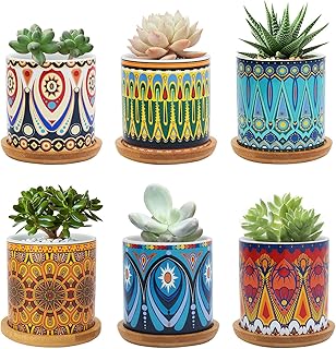 Sponsored Ad - Succulent Pots, Warmplus 3 inch Mandala Planter Pot with Drainage and Bamboo Tray, Small Pots for All House...