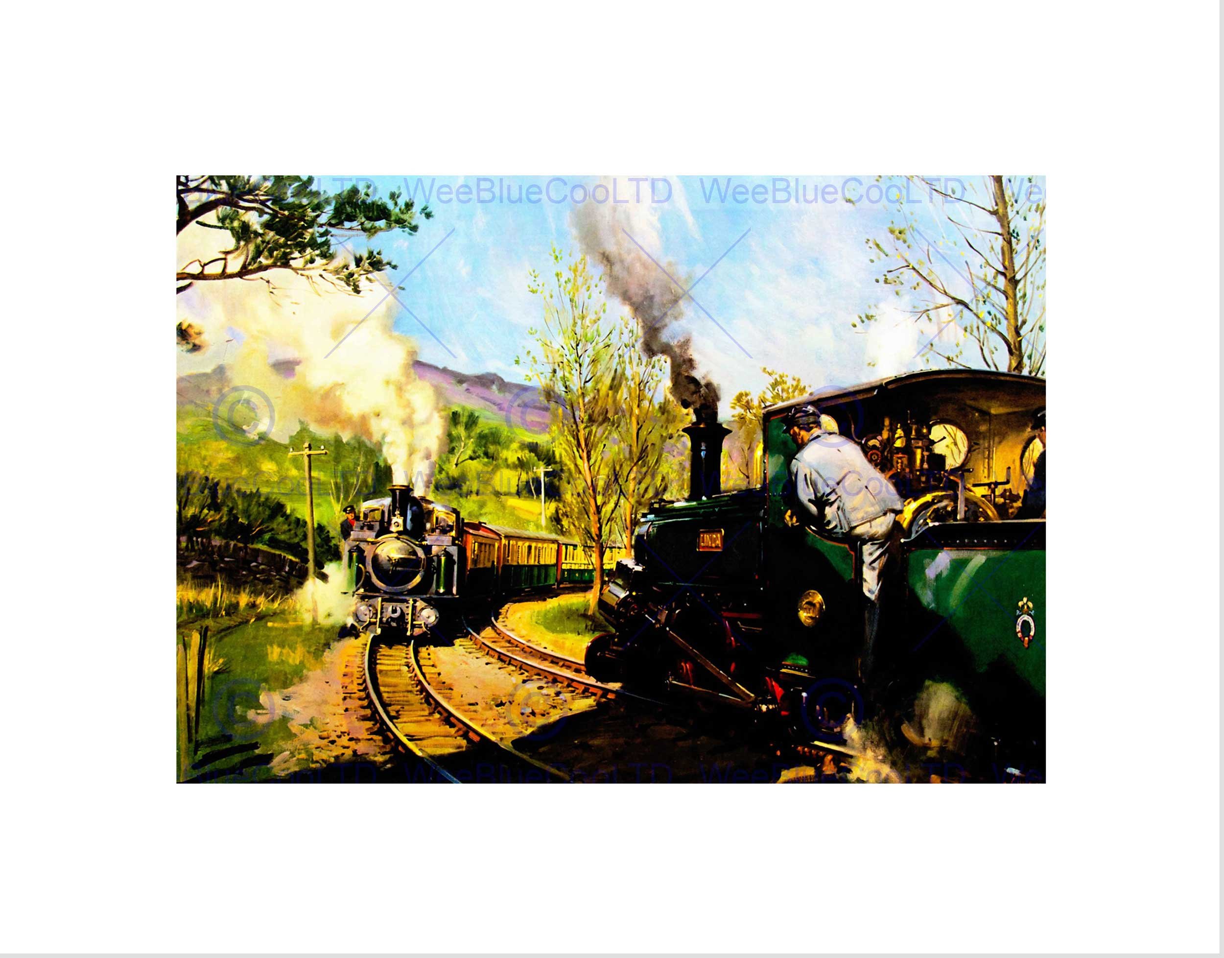 Wee Blue Coo PAINTING VINTAGE STEAM TRAIN FFESTINIOG RAILWAY WALES FRAMED PRINT B12X12265
