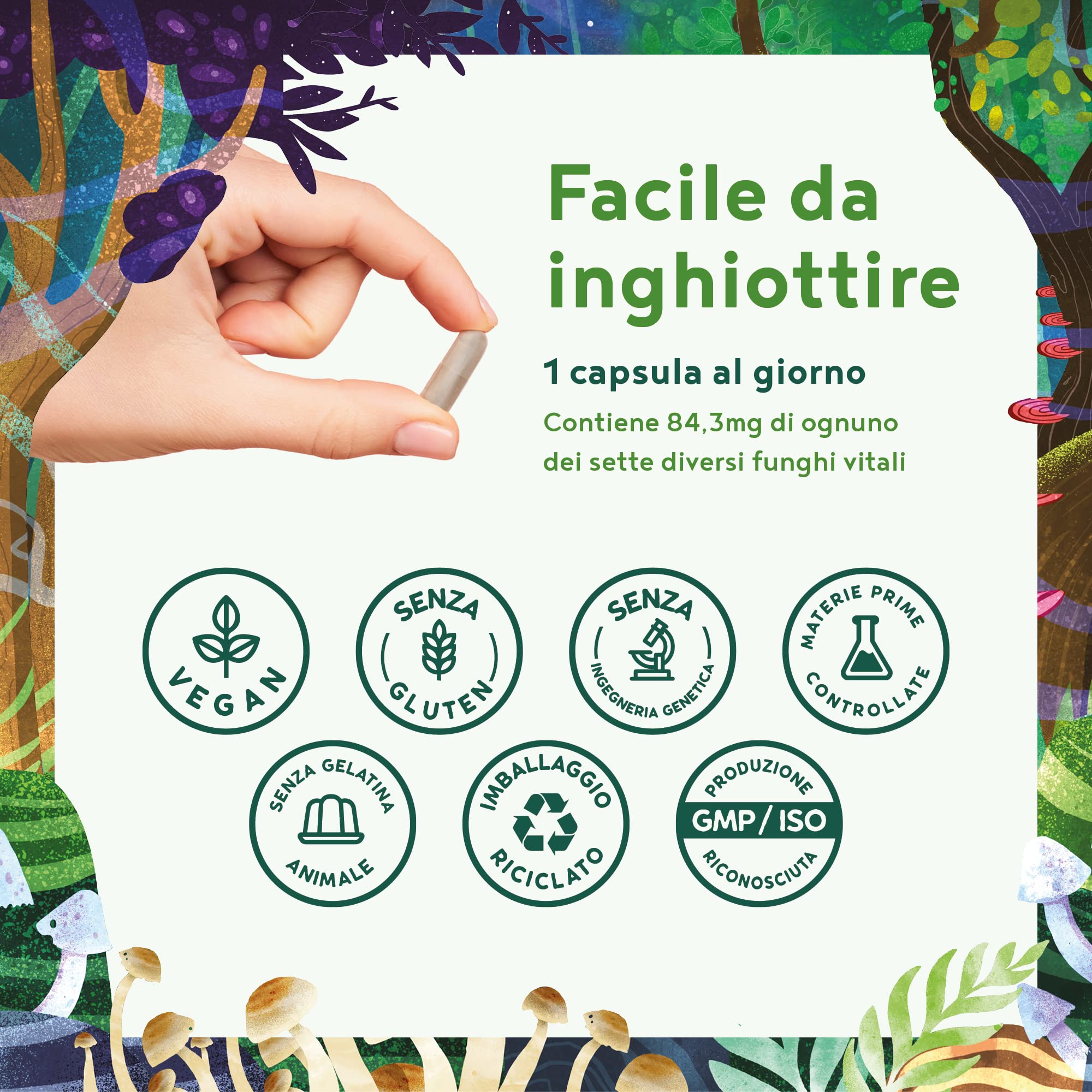 Funghi Funzionali con Maitake, Funghi Shiitake, Cordyceps, Fungo Reishi, Agaricus, Lions Mane | Integratore Multivitaminico Completo per Difese Immunitarie Adulti e Salute del Cuore | Alpha Foods