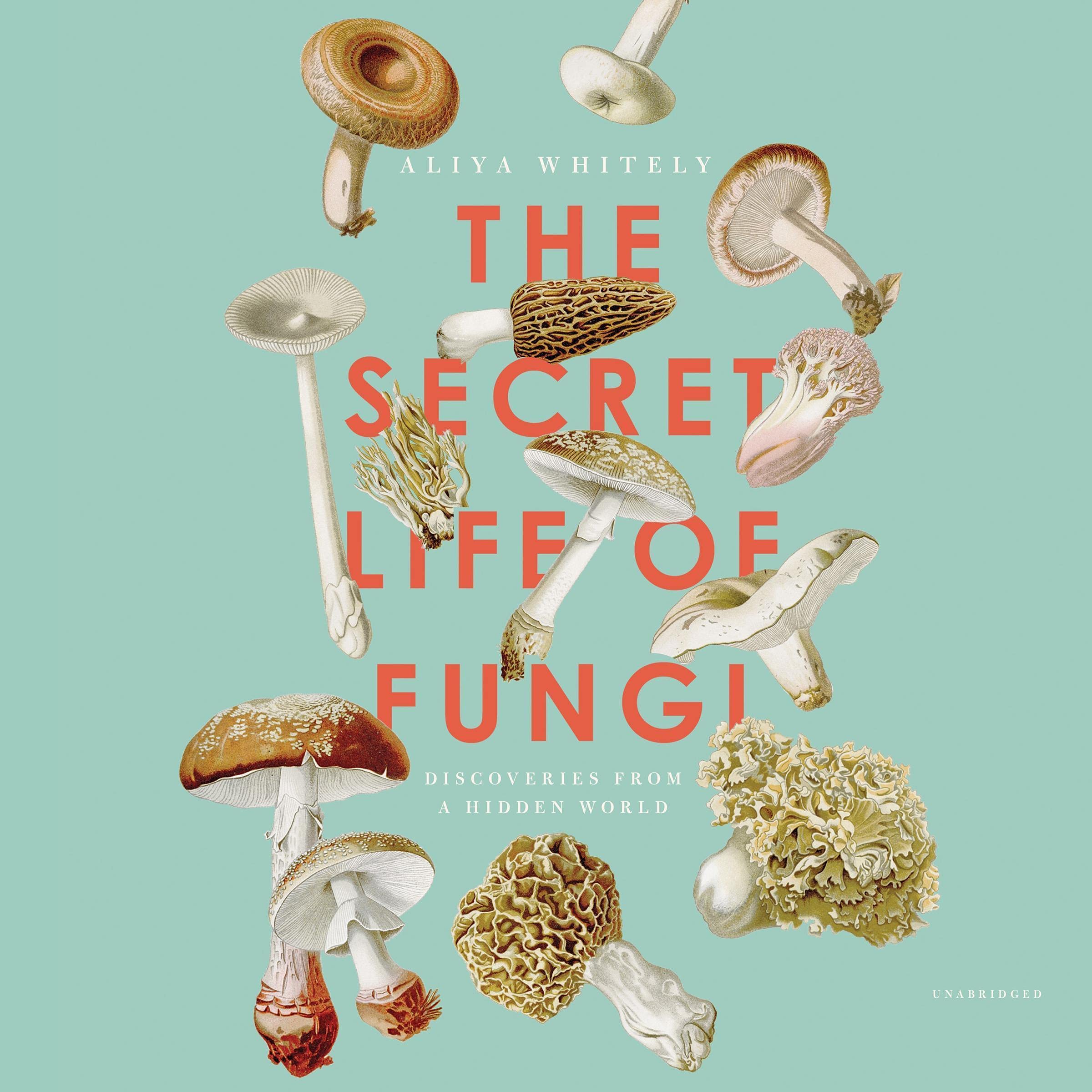 Cover art for The Secret Life of Fungi