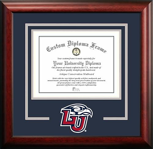 Vista 183 de NCAA - Marco para diploma Spirit.