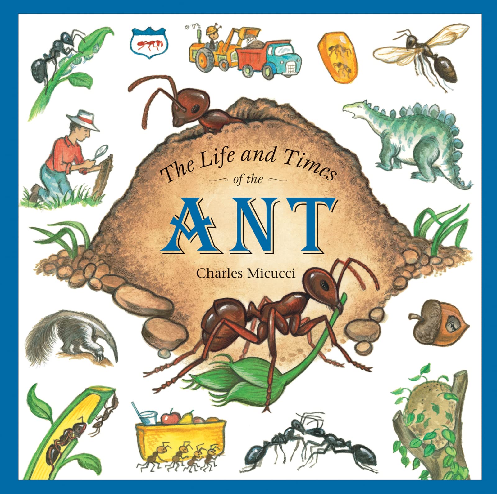 The Life and Times of the Ant Paperback – Picture Book, April 17, 2006