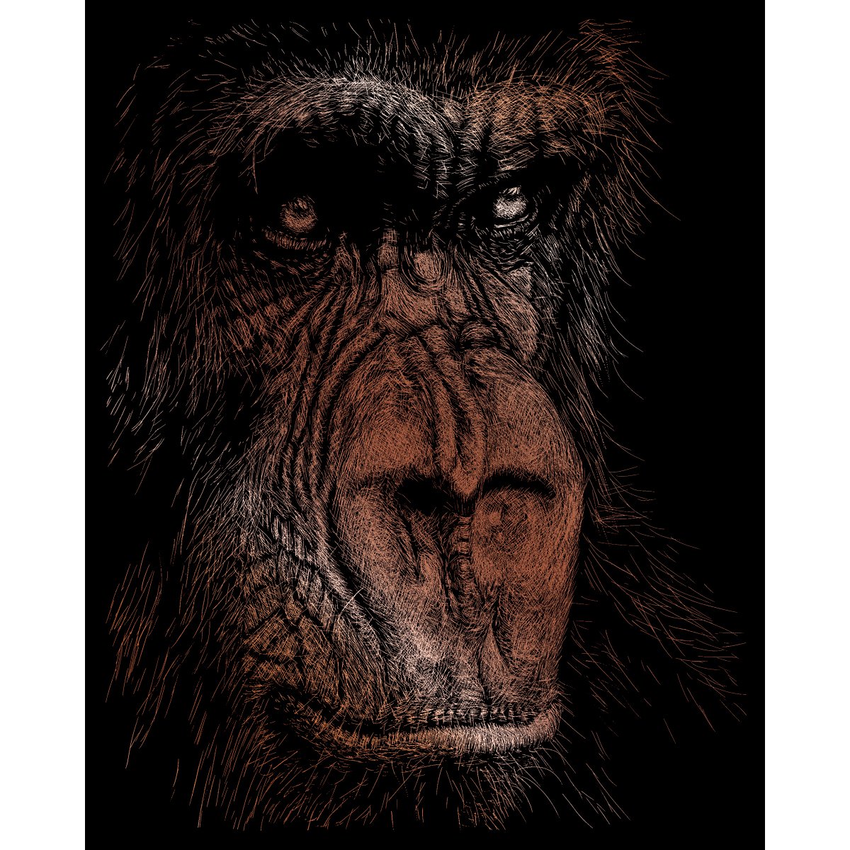 Royal Brush Copper Foil Engraving Art Kit 8"X10"-The Wise Simian