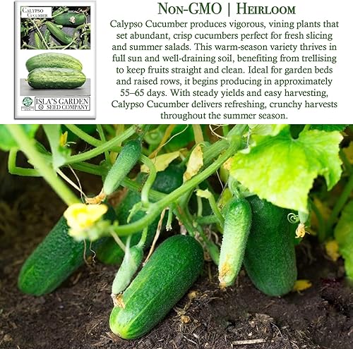 Miniatura 3 de Semillas de pepino Calypso para plantar, más de 25 semillas de reliquia por paquete, semillas de jardín de Isla (semillas de jardín de Isla),