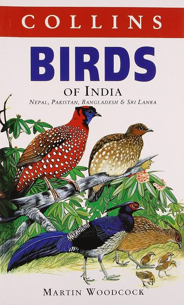 洋書 BIRDS OF PREY OF THE INDIAN SUBCONTINENT Buy Birds of Prey of the Indian Subcontinent Book Online at