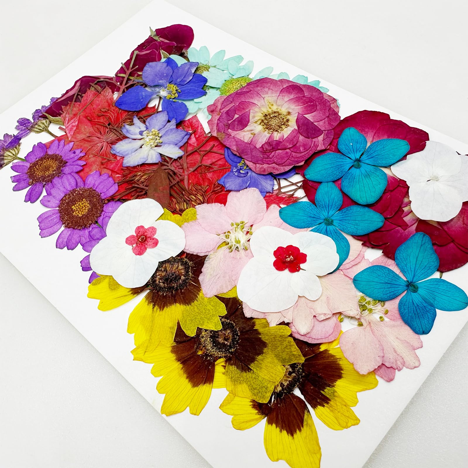 Cayway 36 PCS Dried Pressed Flowers for Resin Mixed Color Real Pressed Flowers Dry Leaves Kit Natural Dried Pressed Leaves for Art Crafts Resin Scrapbook Supplies Soap Candle DIY - Image 3