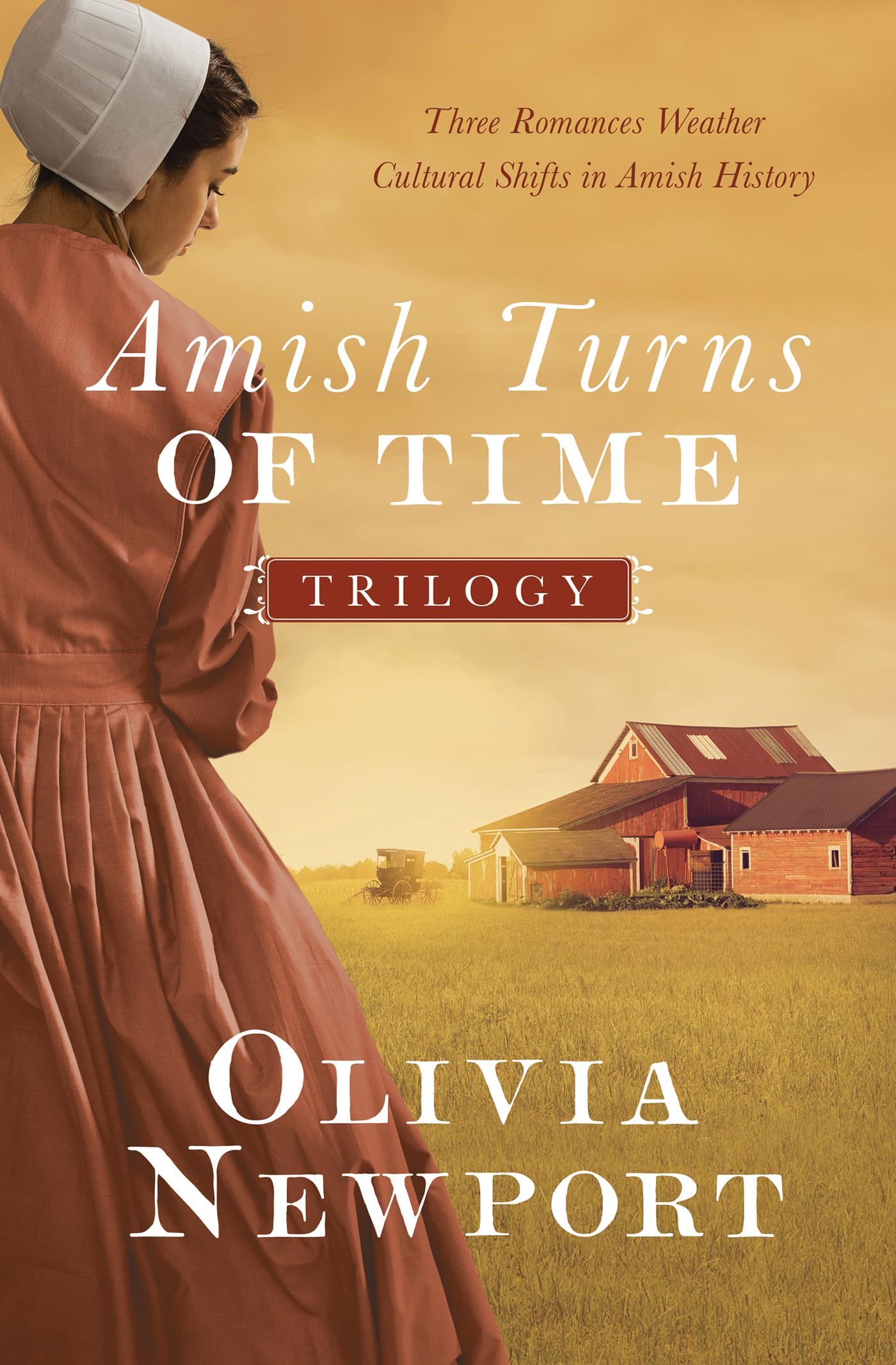 Buy The Amish Turns of Time Trilogy: Three Romances Weather Cultural Shifts in Amish History — BookShops.in