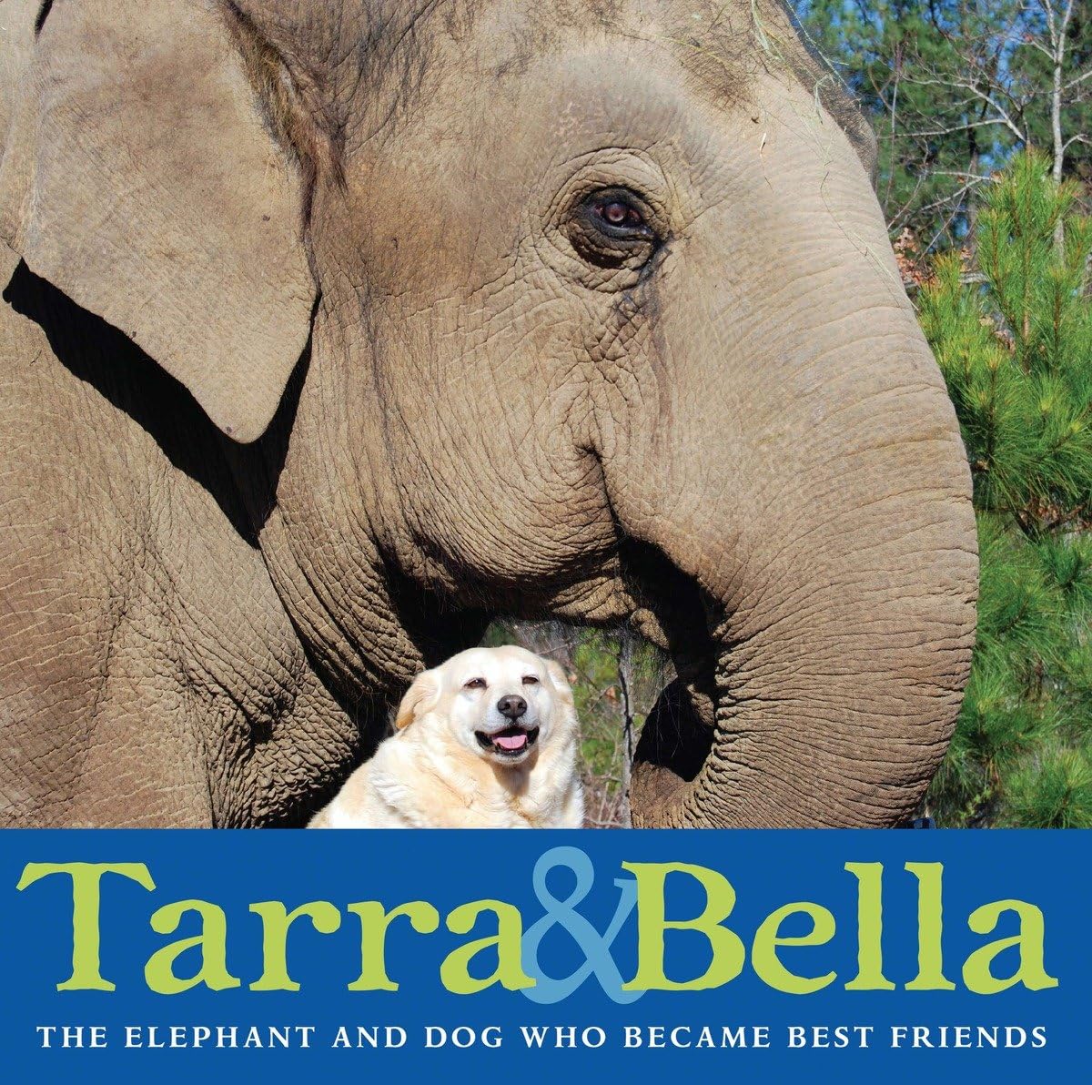 Tarra & Bella The Elephant and Dog Who Became Best Friends Buckley(00)