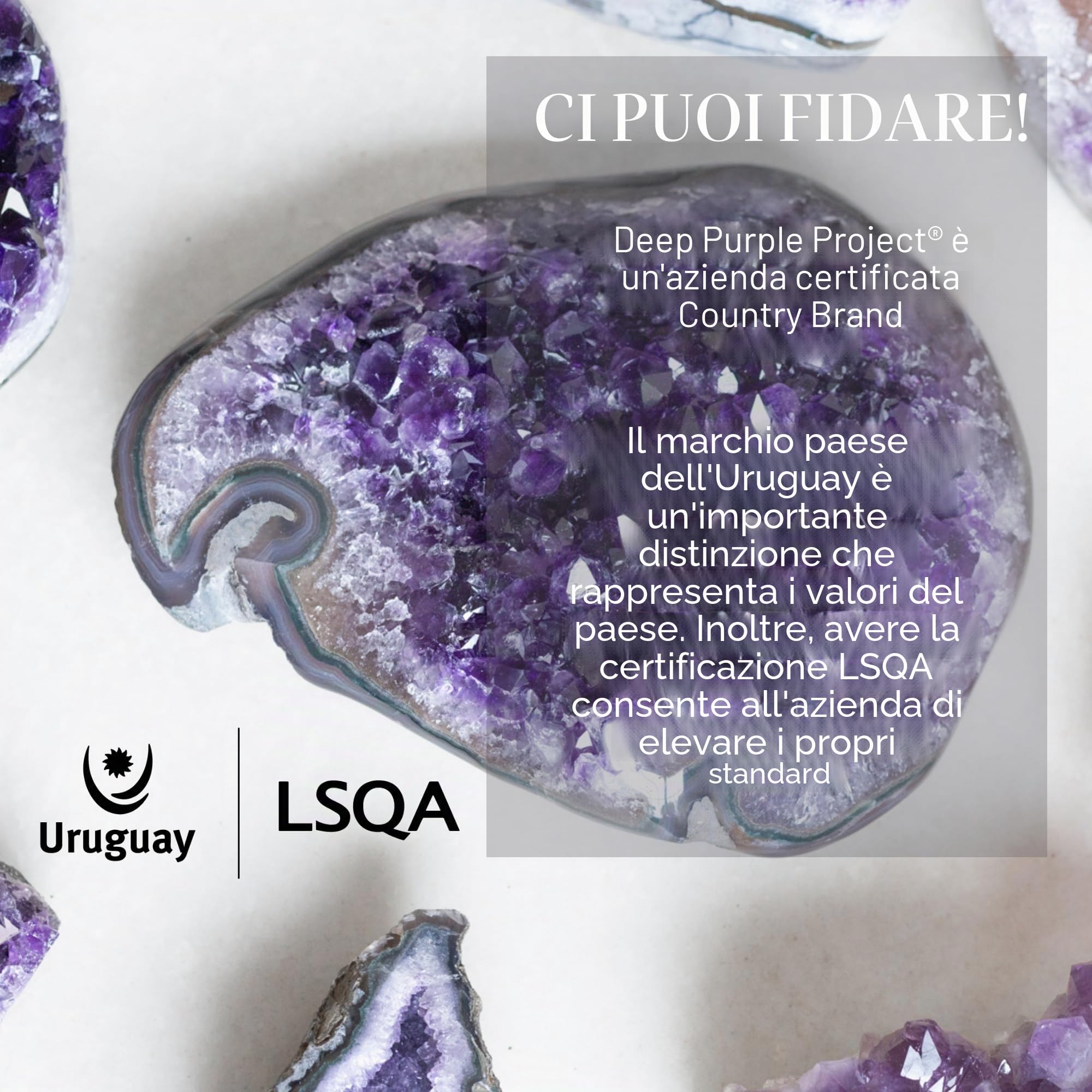 Deep Purple Project Grande geode di cristallo ametista di grado A dall'Uruguay, da 0,7 kg a 1 kg, confezione regalo di alta qualità, perfetta per collezionisti