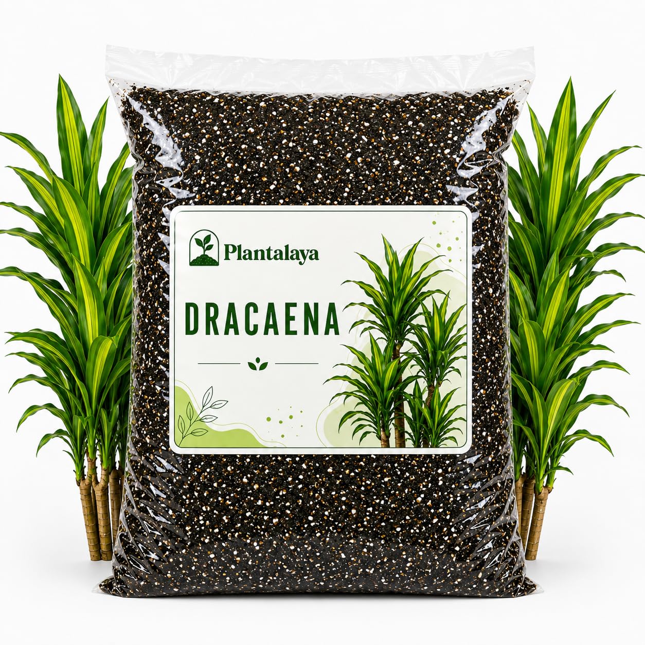 Dracaena Potting Mix – Premium Free Draining Soil Blend for Dragon Tree, Corn Plant & Dracaena Houseplants – Moisture Balanced Growing Medium for Healthy Roots & Foliage (10 Litres)