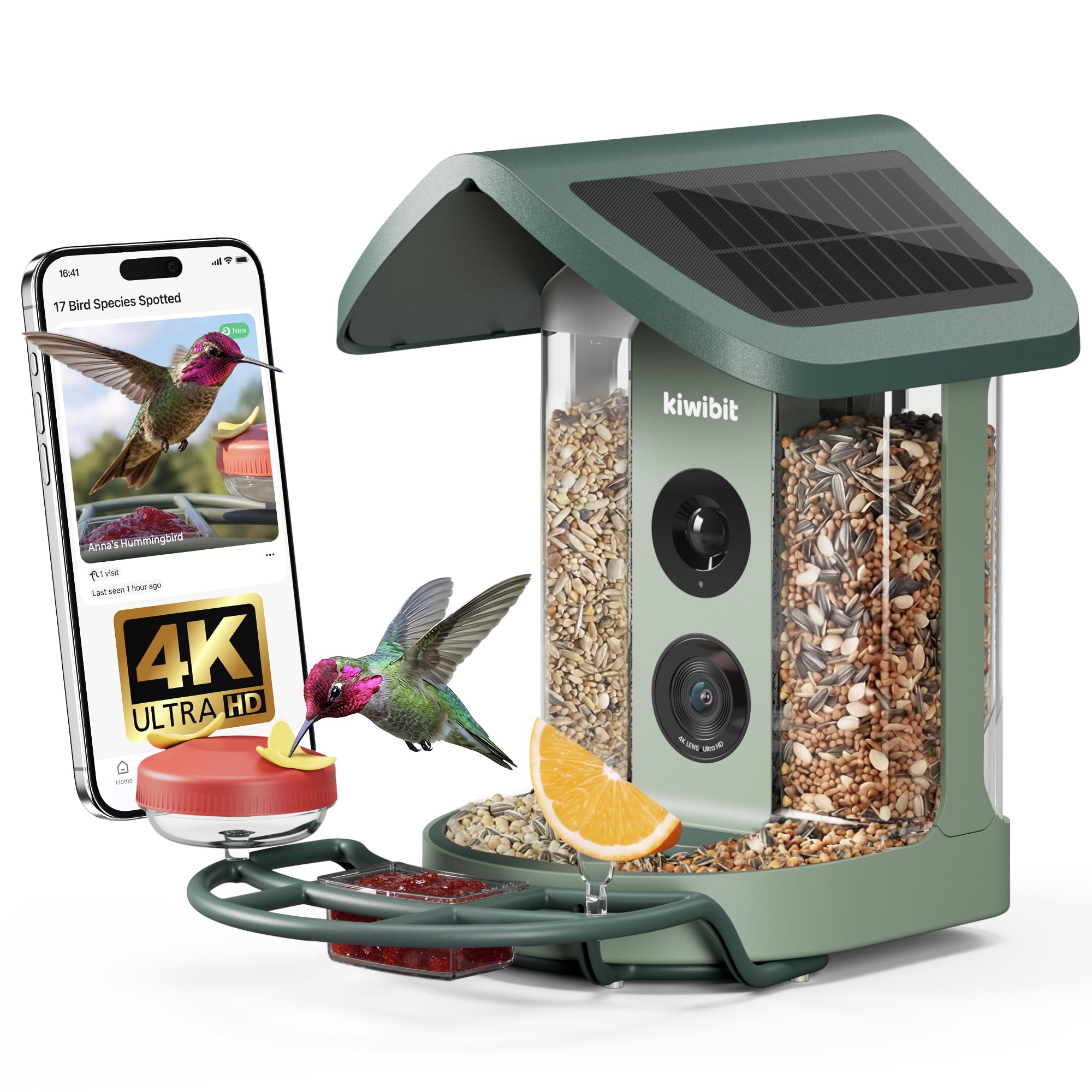 Kiwibit Solar Humming Bird Feeder with Camera, Smart AI Bird Species Identification, 8MP Photos, 4K HD Live Stream, Hummingbird Feeders for Outdoors, Wild Bird Watching Gifts for Bird Lovers, Green