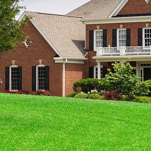 Miniatura 8 de FREADEM Alfombra de césped artificial de 8 x 42 pies, alfombra de césped artificial con drenaje  respaldo de goma, alfombra de césped artificial