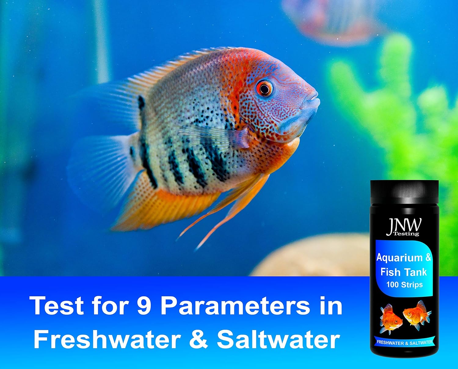 Buy Aquarium Test Strips 9in1 Aquarium Test Kit with eBook
