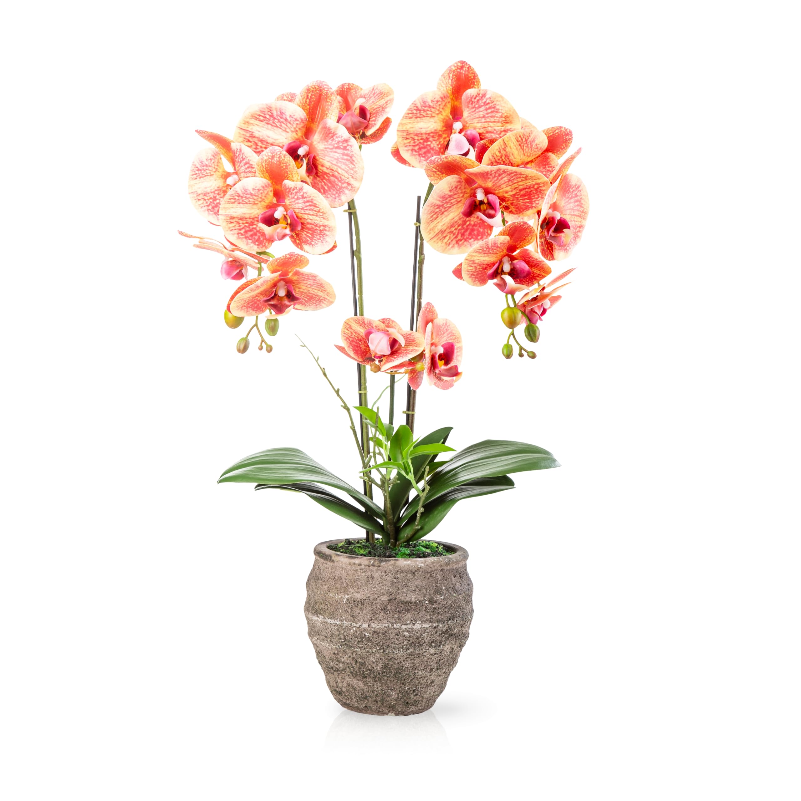 PASCH® Orchideen künstlich (60cm) in handgefertigtem Stone Cube Topf | Kunstblumen wie echt | künstliche Orchideen im Topf | künstliche Blumen im Topf | Kunstblume Orchidee (Orange)