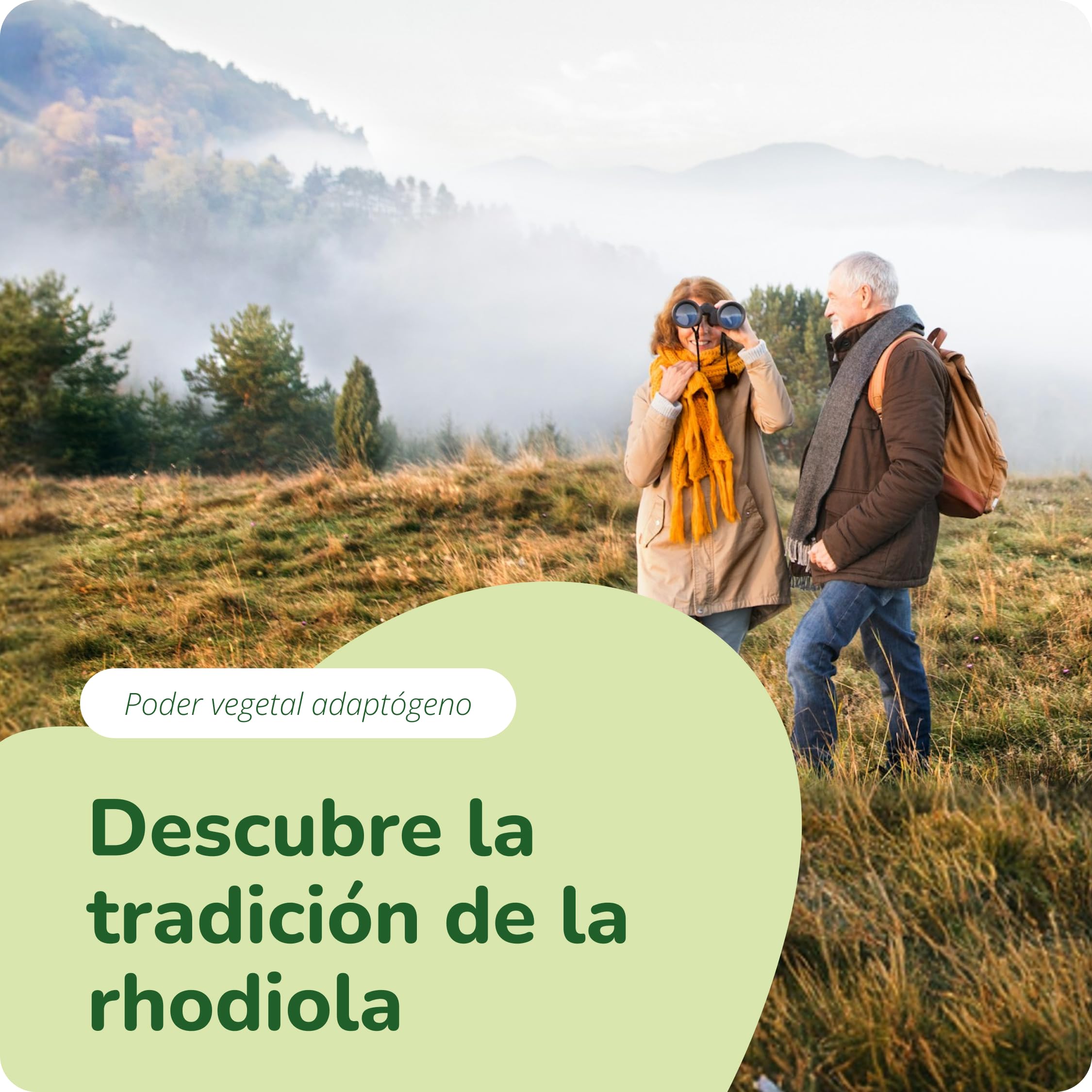 Rhodiola Rosea | RHODIOLIFE | 1200 mg | Con 3% Rosavines + 1% Salidroside | Concentración | Sin Aditivos & Vegano | 120 Cápsulas | Vegavero