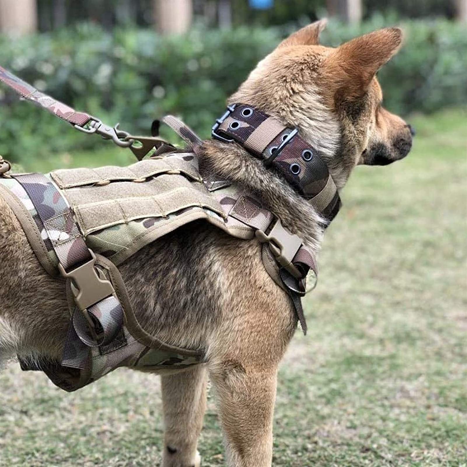 Arnés Táctico para Perros Ajustable con Correa Extensible, Arnés De Pecho para Perros De Servicio, Arnés para Perros De Adiestramiento Al Aire Libre con 3 Bolsillos Extraíbles