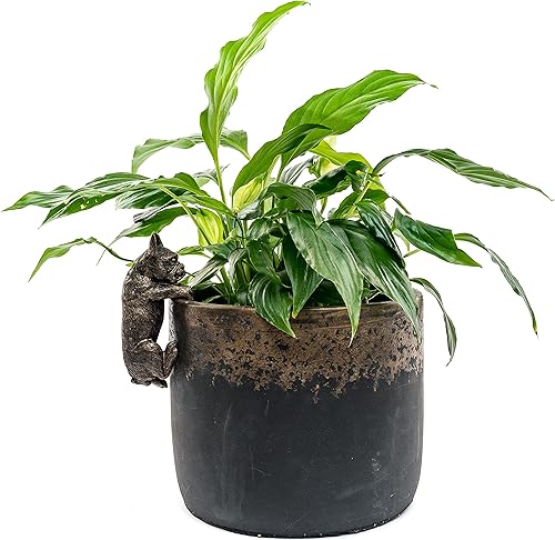 Miniatura 2 de French Bulldog Pot Buddy - Colgador decorativo para macetas