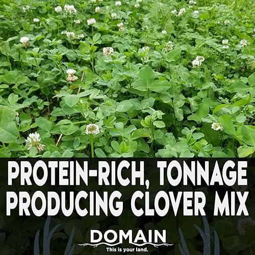 Miniatura 9 de Domain Outdoor Comeback Kid Food - Semillas para ciervos, variedades especiales de trébol y alfalfa, ideales para plantar en primavera, forraje alto