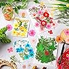 Product Photo 2