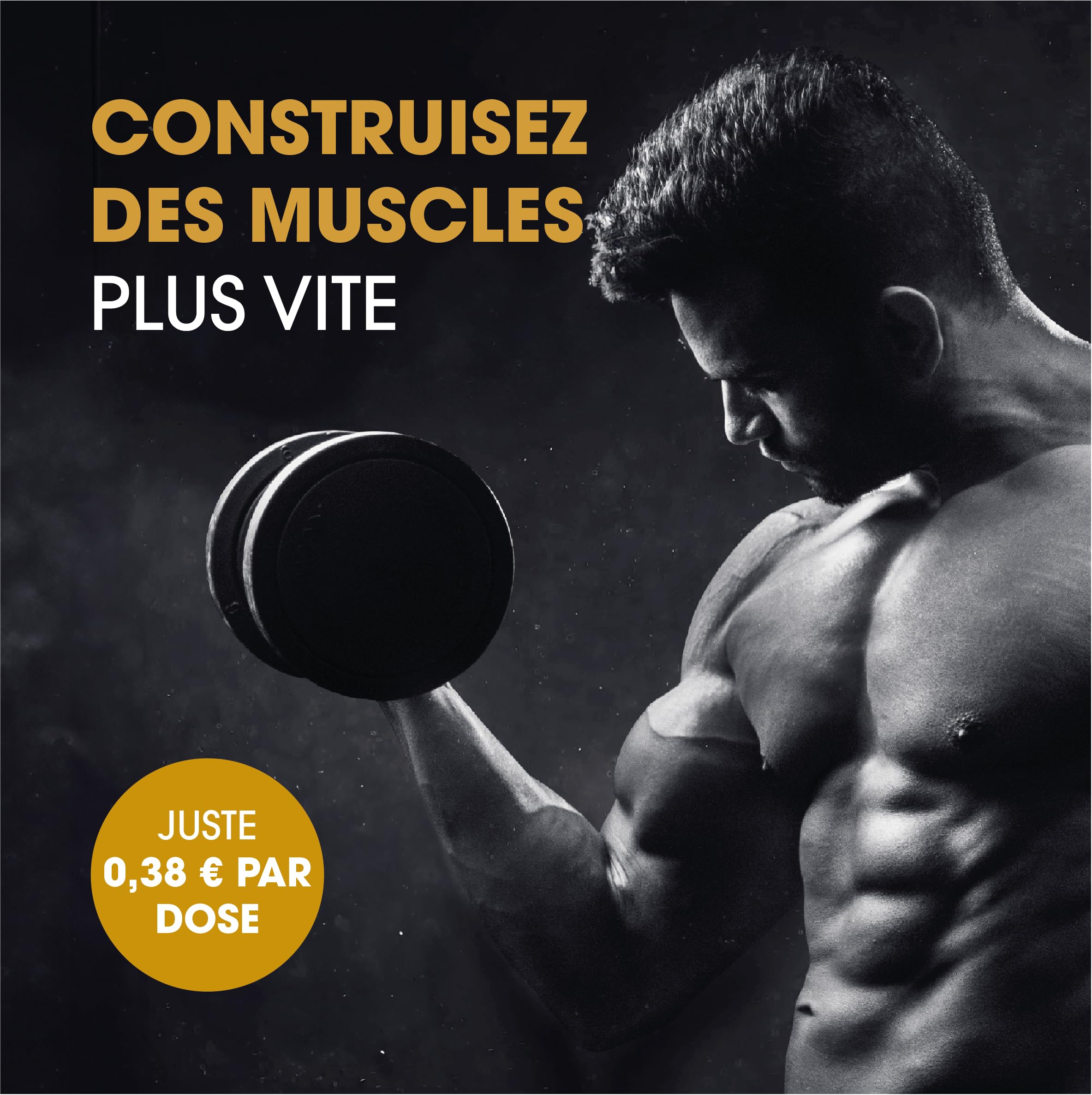 Comprimés De Shilajit Originel – 120 Comprimés, 400 Mg Par Portion – Résine De Shilajit Pure – Riche En Acides Fulviques Et Humiques – 100% Pur