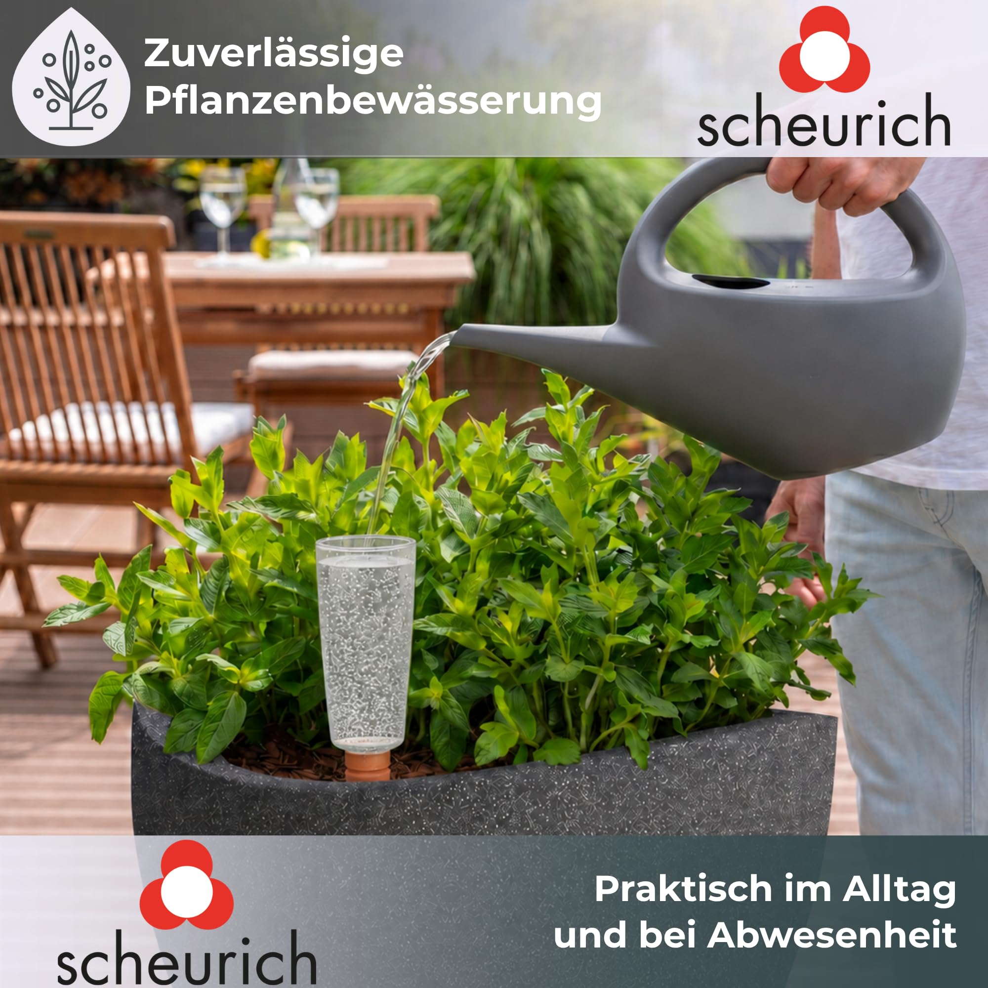 Scheurich Copa M Distributeur d'eau, distributeur d'eau, boule d'irrigation, vert transparent (4, transparent)