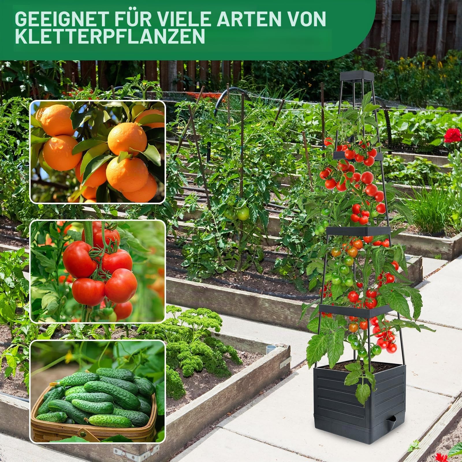 MQUPIN 145cm Tomaten Pflanzkästen, 2 Stück Hochbeet mit Rankgitter zum Klettern von Gemüse, Pflanzen, selbstbewässernde Pflanzkästen für den Außenbereich, verstellbare Rankenstütze