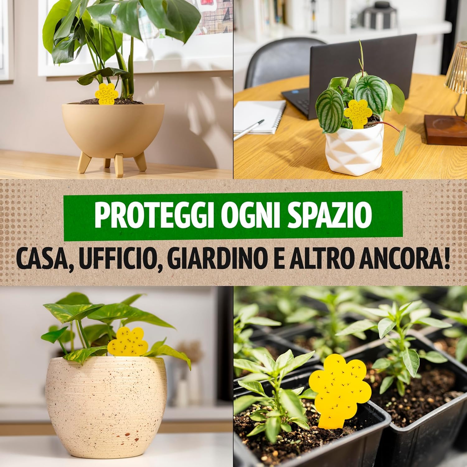Trappole anti Moscerini delle Piante 30 Pezzi Esche Adesive Eco Senza Insetticidi