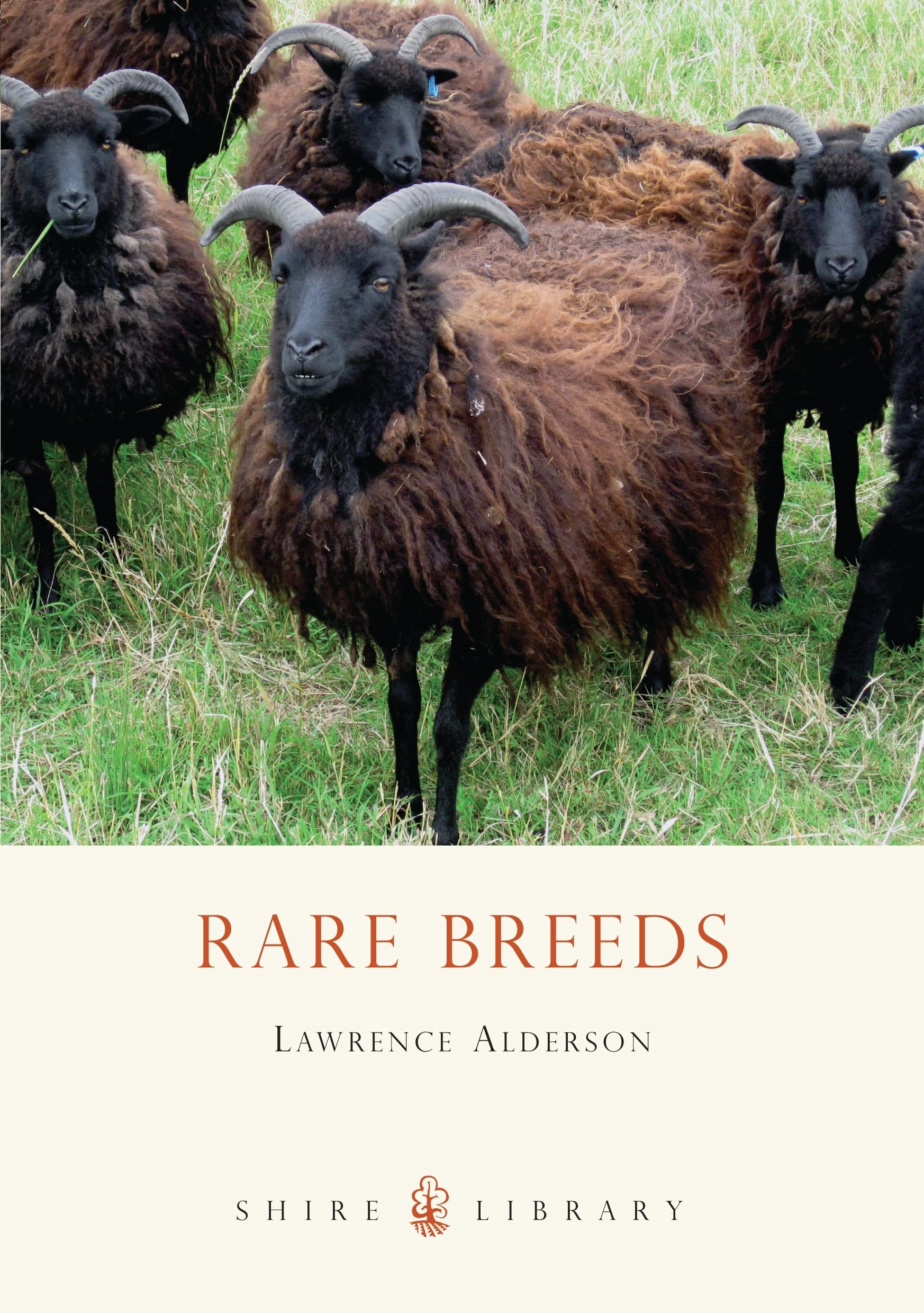 Rare Breeds: No. 118 (Shire Library)